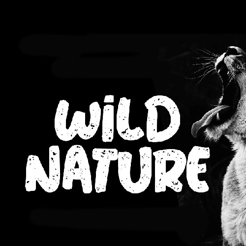 wild_nature-by-clickdomain.ir_.jpg