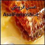 asalforooshi.ir اگهی فروش دامنه اینترنتی