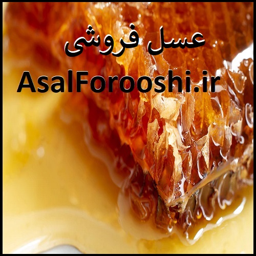 AsalForooshi.ir عسل فروشی