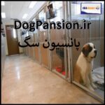 dogpansion.ir اگهی فروش دومین