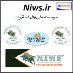 niws.ir اگهی فروش دامنه اینترنتی